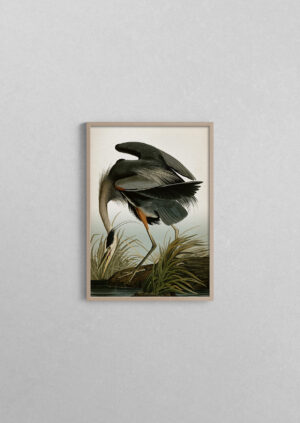 Shop EN - vintageprintcollection